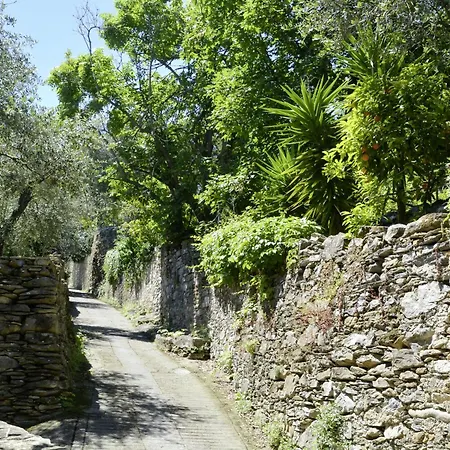 Laura - Dol281 By Interhome Dom wakacyjny *